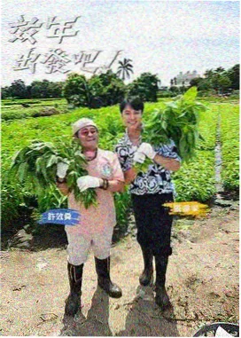 芒果TV免费观看网站入口 中餐厅